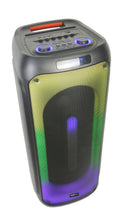 Load image into Gallery viewer, Switch Double 12&quot; Portable TWS Bluetooth Karaoke Speaker
