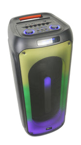 Switch Double 12" Portable TWS Bluetooth Karaoke Speaker